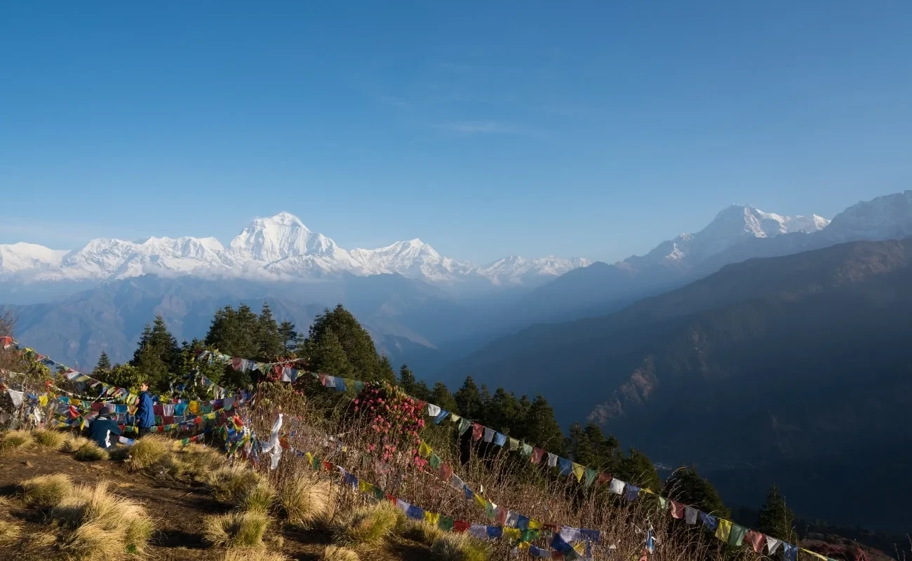 Ghorepani: Gateway to Poon Hill Trek